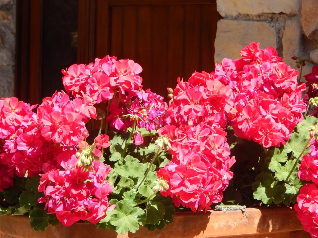Bed and Breakfast I Lecci Леричи Экстерьер фото
